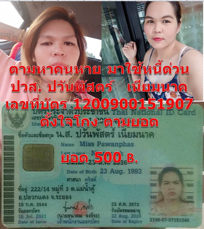 1730243441343.jpg